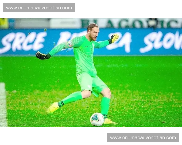 葡超授权:正版联赛,尊享荣耀 葡超授权:正版联赛,尊享荣耀